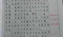 含羞草的秘密作文