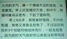 关于亲情的作文400字