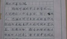 我心中最美的人作文