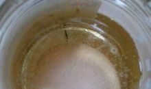 醋泡鸡蛋观察日记