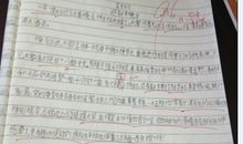 小学生元旦晚会作文