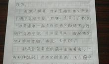 我的网络世界作文