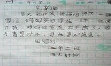 语文老师作文