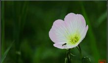 昨天越来越多，明天越来越少