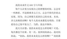 我的未来作文