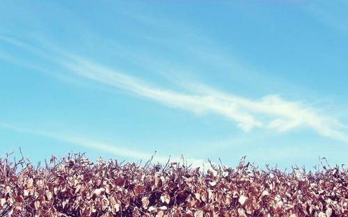 快乐的青少年句子快乐的青少年句子1