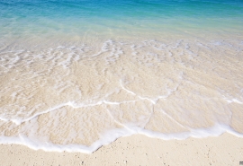 在学校里的句子差而开心，句子的句性不好而开心，谈论心情2