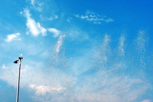 描述幸福收到鲜花的句子鲜花带来的好心情的句子2