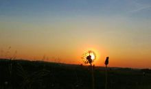 形容别人开心的英文句子 形容开心快乐的英语句子