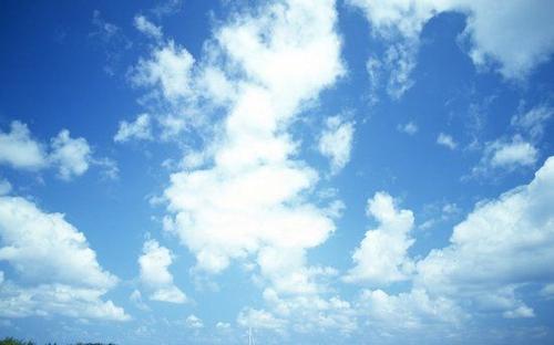 用来形容快乐收花的句子,好心情带来的花朵1