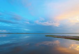 高兴收到花的句子