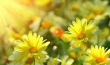 微信形容中老年人开心的句子 形容老年人开心的句子