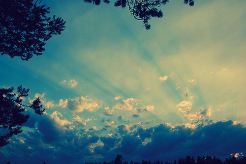 与我的妻子一起玩的句子与我的妻子一起玩的句子