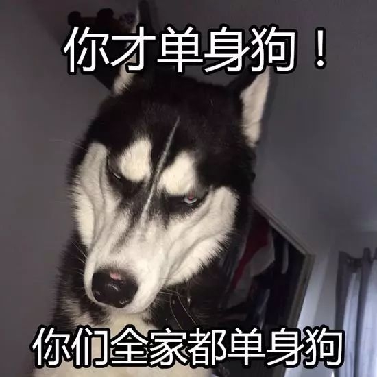 七夕的幽默没有女朋友,七夕的单身狗,附照片2