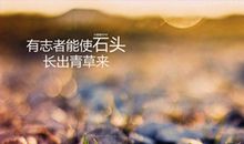 痛苦励志的句子：泪，自己尝。痛，自己扛。未来，自己去闯。