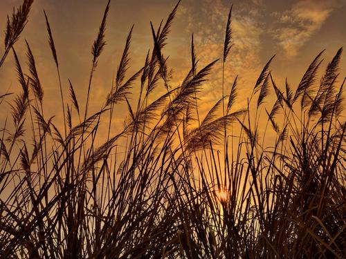 婴儿快乐句婴儿快乐句