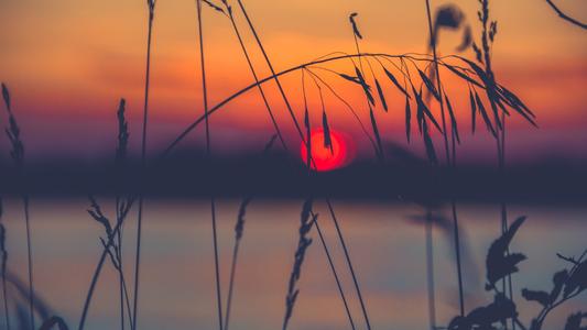 婴儿快乐的句子婴儿快乐的句子2