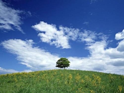 动机不愉快的句子动机不愉快的句子谈论2