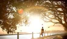 享受孤独的名言