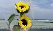 立冬朋友圈说说简单