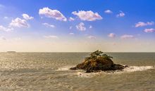 关于狡猾狡辩开心的句子 很皮狡猾开心的句子