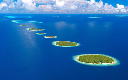 我很高兴辞职，辞职后感到很高兴和放松1