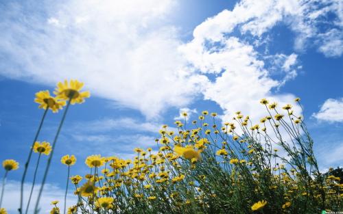 表示非常幸福和快乐的句子今天表达心情愉快的句子2