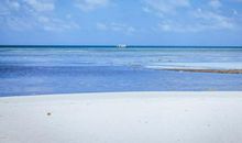 美女们笑容开心的句子 形容女生笑容的句子