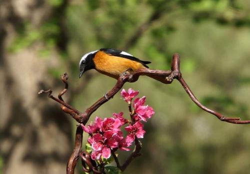 姐妹聚会派对快乐句姐妹聚会派对快乐句1