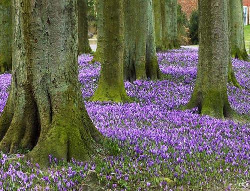 姐妹们聚会的快乐句子姐妹们聚会的快乐句子