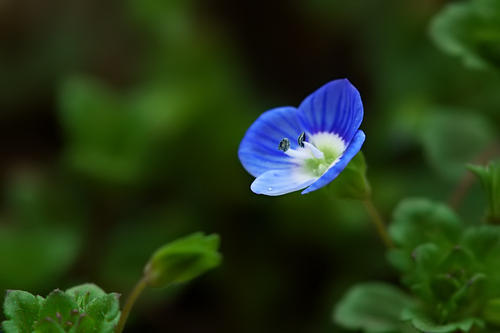 愿你每天快乐的句子，愿你每天快乐的