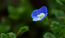 愿你每天开开心心的句子 愿你的天天都能够开开心心