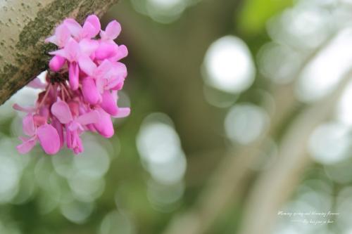 谈论快乐的句子快乐的句子表达您的情绪短促1