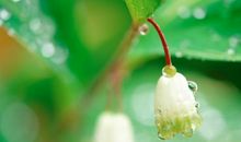 快手上发的开心能句子 快手句子上热门的开心句子