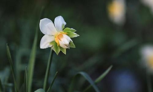 快乐的句子来谈论快乐的句子来表达你的心情短2