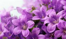 亲人的开心句子说说心情 跟亲人在一起的心情