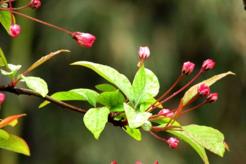 愿你每天快乐的句子，愿你每天快乐的1