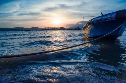 表达幸福和幸福生活的句子，谈论情绪短语，表达情绪的幸福句子，简短