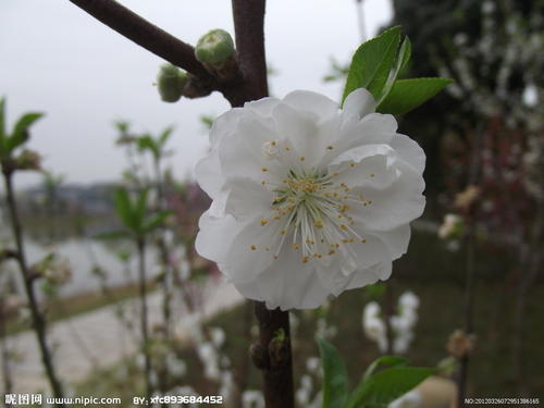 鼓励和快乐的句子鼓励词和励志词2