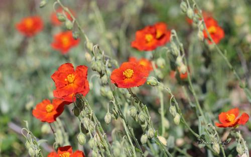 祝贺孩子们通过了儿童高考的快乐考试1