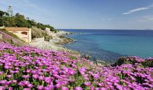 祝贺孩子高考考好开心的句子 孩子考好开心的句子