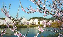 帮助别人感到开心的句子 让人感到温暖快乐的句子