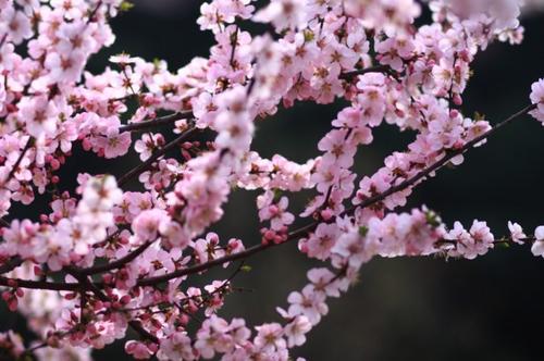 使他人感到快乐的句子使人感到温暖和快乐的句子2