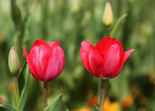 快乐幽默的句子快乐幽默的句子1