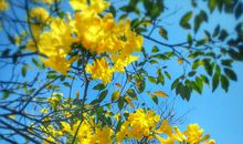 走过的路开心句子 人生走过的路经典语录