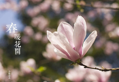 关于幸福的简单句子，关于幸福的简单句子1