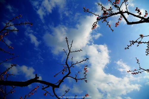 快乐的生活和工作动机句子谈情绪