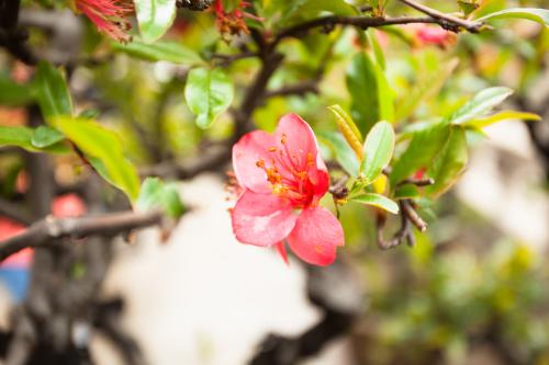 开心生活和工作中的励志句子谈心情励志快乐中的句子谈心情1