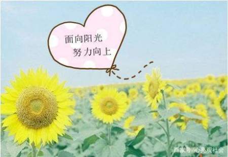 和朋友一起玩的句子和朋友一起玩的句子