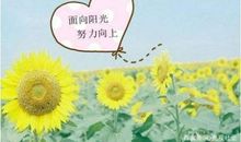 与朋友一起开心的句子 和朋友一起心情好的句子